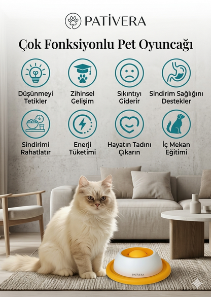 PatiVera Kaymaz Tabanlı İnteraktif Ödül Kasesi
